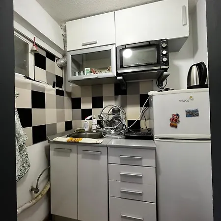 In Vracar Apartment